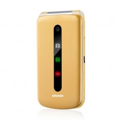 Brondi PRESIDENT Cellulare Ultra Sottile e con Icone LED sul Flip Fotocamera 1.3MP Dual Sim | Gold