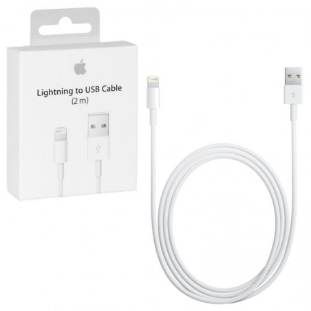 Compra Apple Cavo Lightning 2mt MD819ZM/A in Blister online