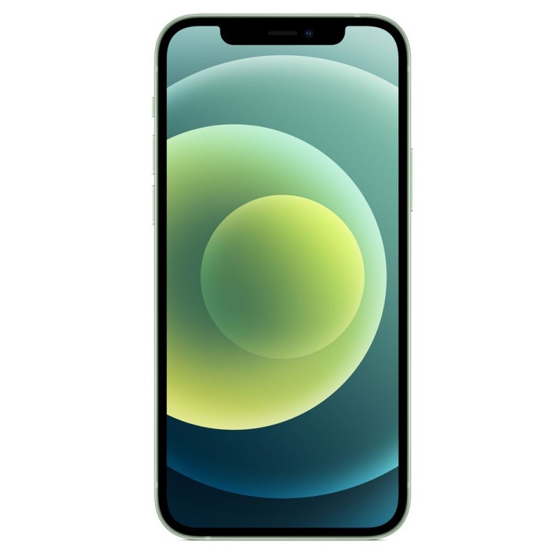 IPHONE 12 256 GB GREEN - PRE OWNED GRADE A/A+ (SCATOLA + CAVO LIGHTNING USB-C) - 12 MESI DI GARANZIA