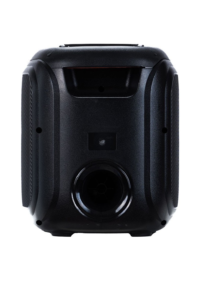 AUDIODESIGN PRO Partybox Speaker DJ107 Bluetooth Portatile Effetti Luce Cassa Altoparlante 