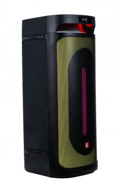 Buy AUDIODESIGN PRO Partybox Speaker DJ208 Bluetooth Portatile Effetti Luce Cassa Altoparlante online