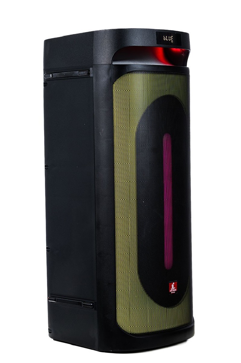 AUDIODESIGN PRO Partybox Speaker DJ208 Bluetooth Portatile Effetti Luce Cassa Altoparlante 