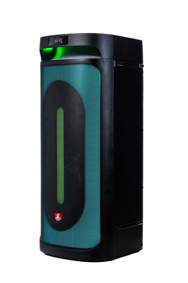 AUDIODESIGN PRO Partybox Speaker DJ208 Bluetooth Portatile Effetti Luce Cassa Altoparlante 