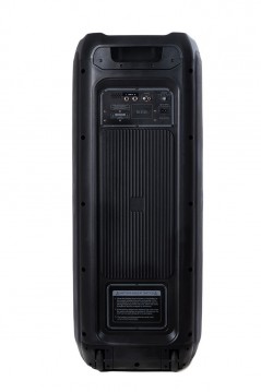 Scopri AUDIODESIGN PRO Partybox Speaker DJ212S Bluetooth Portatile Effetti Luce Cassa Altoparlante in dettaglio