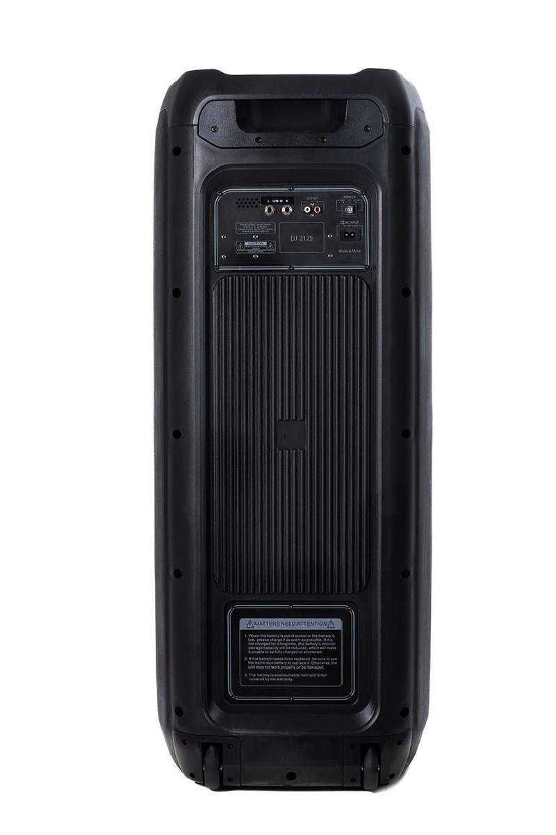  AUDIODESIGN PRO Partybox Speaker DJ212S Portable Bluetooth Speaker with Light Effects