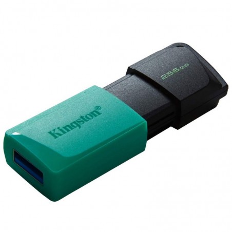 Kingston Pen Drive Usb 3.2 DTXM 256GB
