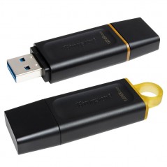 Scopri Kingston Pen Drive Usb 3.2 DTX 128GB in dettaglio