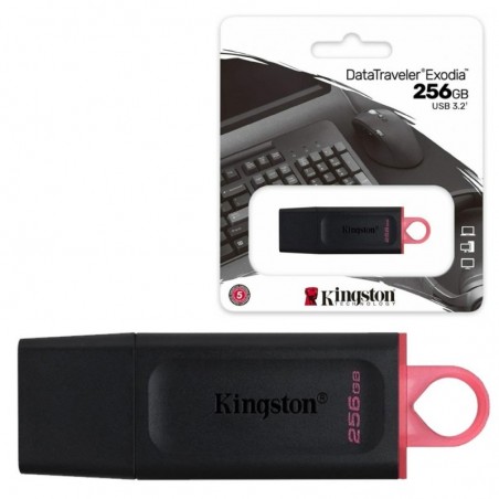 Acquista Kingston Pen Drive Usb 3.2 DTX 256GB in vendita