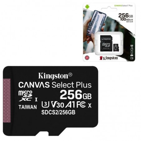 Scopri Kingston Canvas Select Plus MicroSd HC SDCS2 MicroSdXC 256GB CL 10 100MB/s in dettaglio