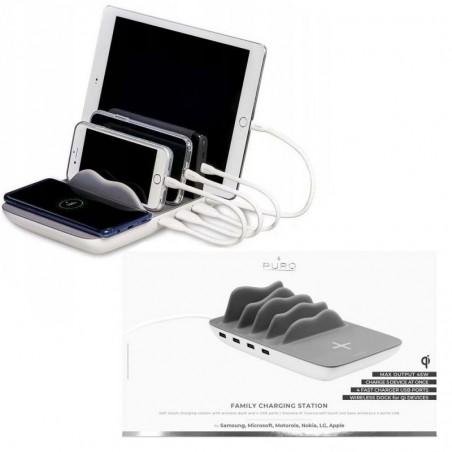 Scopri Puro Family Charging Station 4Usb 45W | Grigio in dettaglio
